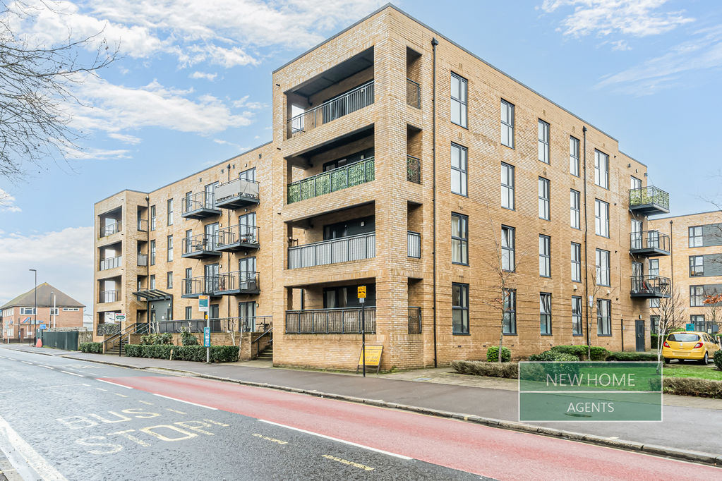 Main Image